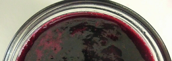 Blueberry Grape Relish