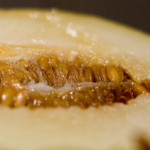 Nectarine Glazed Honeydew