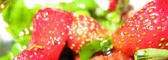 Strawberry and Basil